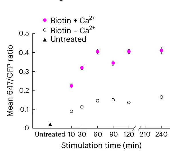 Open access visualization of Line Plot, Error Bars, Fluorescence Ratio, SA-647/GFP, HEK Cells