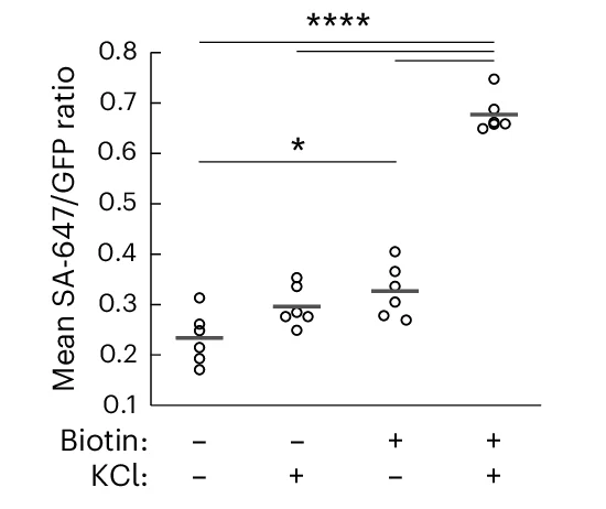 Open access visualization of Scatter Plot, FOV, SA-647/GFP Fluorescence Ratio, Biotin, KCl