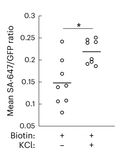 Open access visualization of Scatter Plot, FOV, SA-647/GFP Fluorescence Ratio, Biotin, KCl