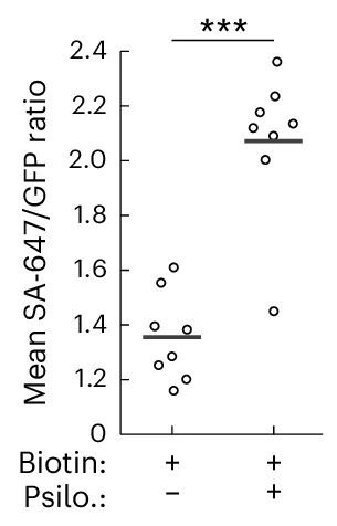 Open access visualization of Scatter Plot, FOV, SA-647/GFP, Fluorescence Ratio, Mice