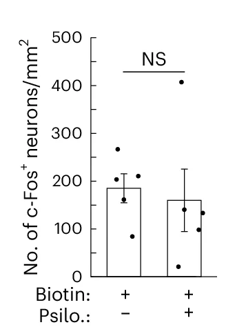 Open access visualization of Bar Plot, Error Bars, Scatter Plot, c-Fos Neurons, Mice