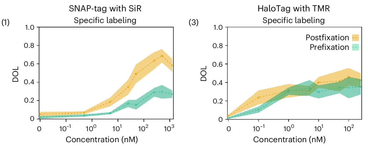 Open access visualization of Line Plot, Error Bars, HeLa Cells, ProDOL, LynG probes
