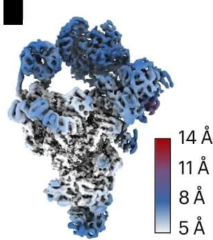 Open access visualization of 3D Plot, Protein Structure, DynaMight, Regularization, Atomic Model