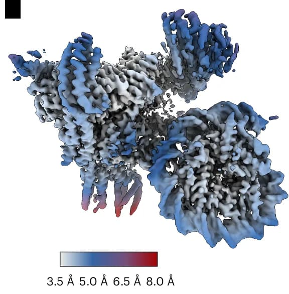 Open access visualization of Protein Structure, Principal Components Analysis, Conformational Latent Space