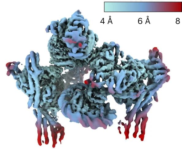 Open access visualization of Protein Structure, DynaMight, Reconstruction