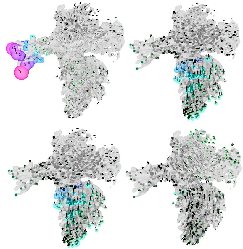 Open access visualization of 3D Plot, Protein Structure, Deformation Fields, Particles, Decoders