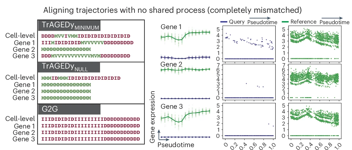 Open access visualization of Scatter Plot, Line Plot, Error Bars, Cell-Level Alignment, Simulated Trajectories