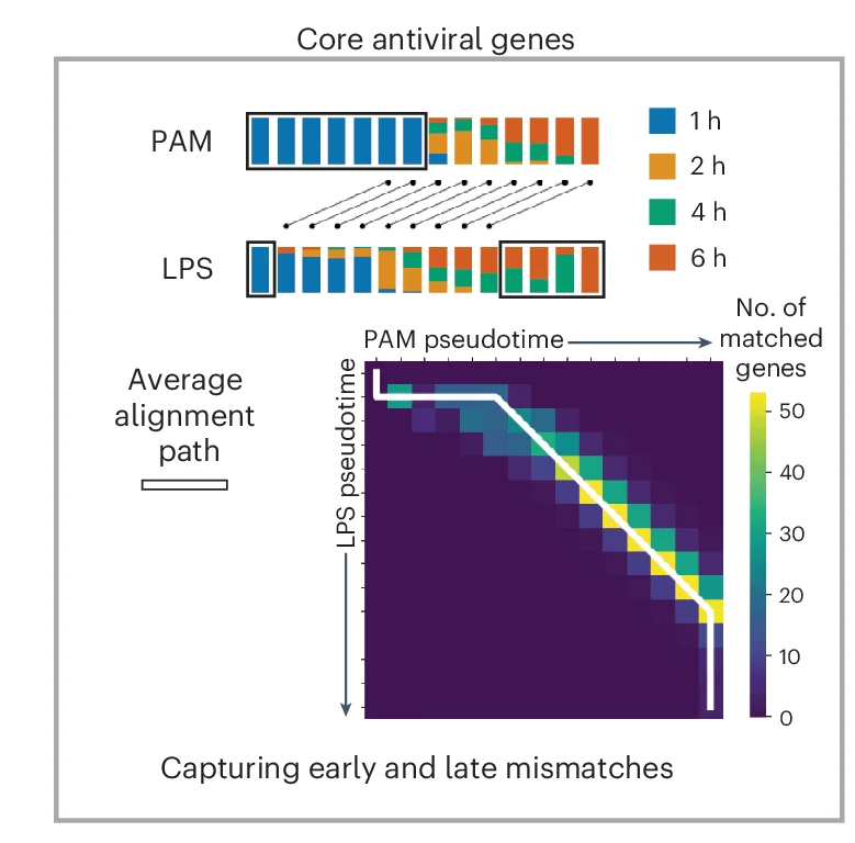 Open access visualization of Heatmap, Stacked Bar Plot, Line Plot, Aggregate Alignment, Core Antiviral Genes