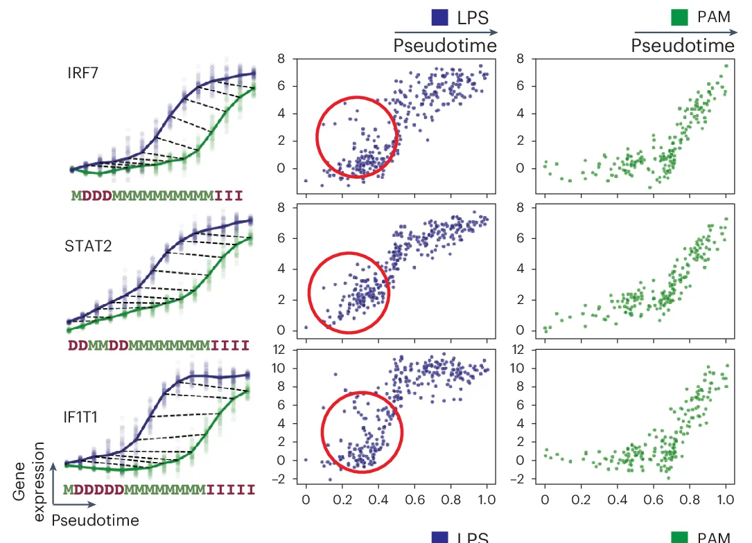 Open access visualization of Scatter Plot, Line Plot, Gene Expression, Core Antiviral Genes, IRF7