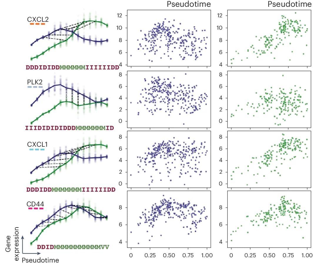 Open access visualization of Line Plot, Scatter Plot, Gene Expression, Representative Genes, CXCL2
