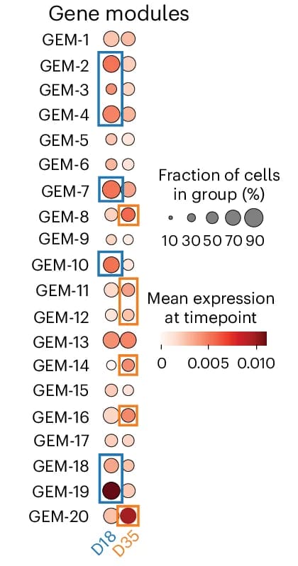 Open access visualization of Bubble Plot, Heatmap, Gene Expression Modules, Gene Expression Patterns, Time-Specific
