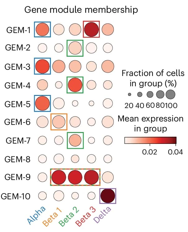 Open access visualization of Bubble Plot, Heatmap, GEM Modules, Cell Types, Clustering