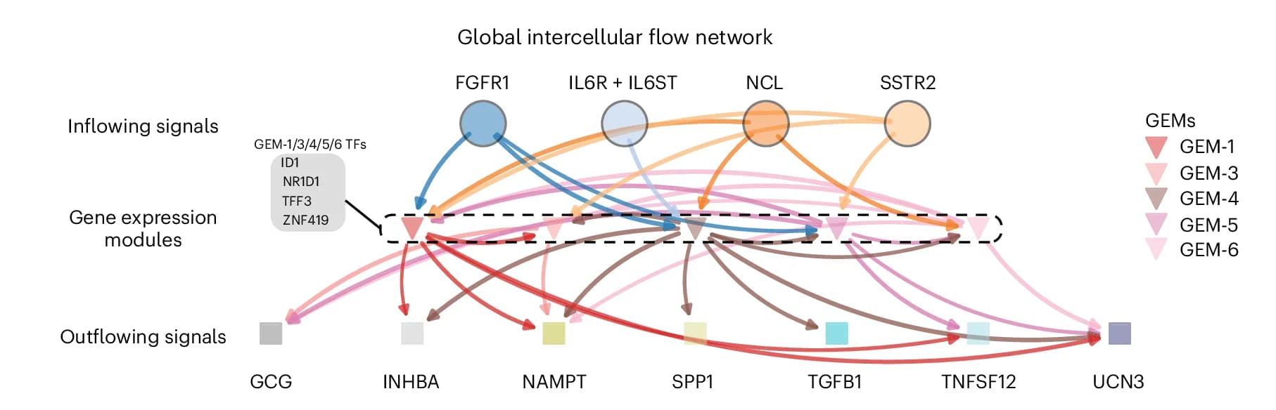 Open access visualization of Pathway, Network, Intercellular Flow Network, FlowSig, Condition-Shared Flows