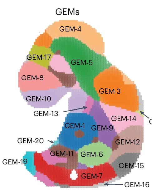 Open access visualization of Geo Map, Spatial GEMS, Spatial Spots