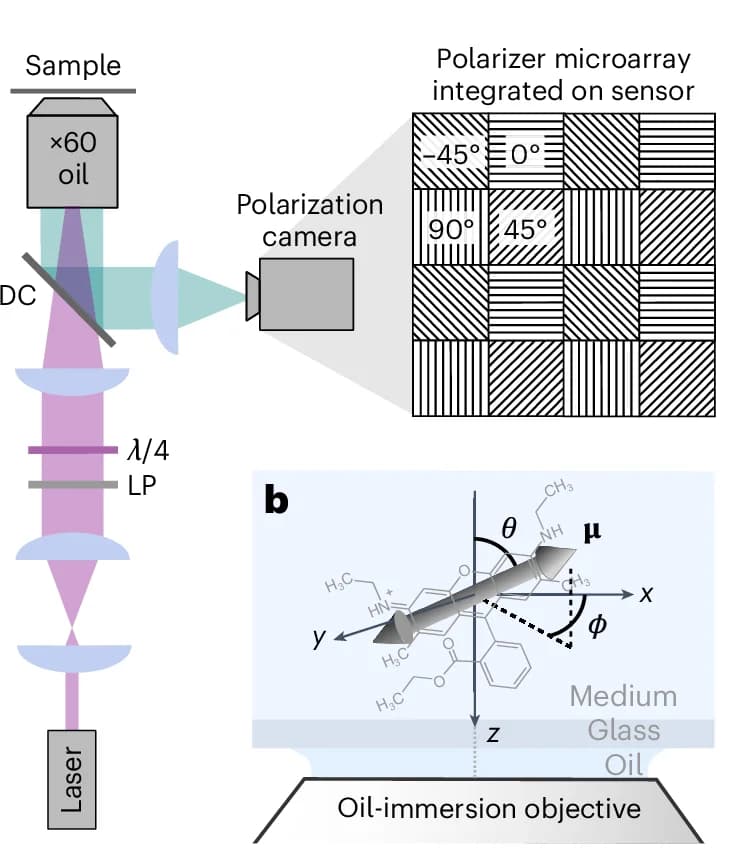 Open access visualization of Workflow, Illustration, Optical Setup, Polarization Camera, Micropolarizer Array