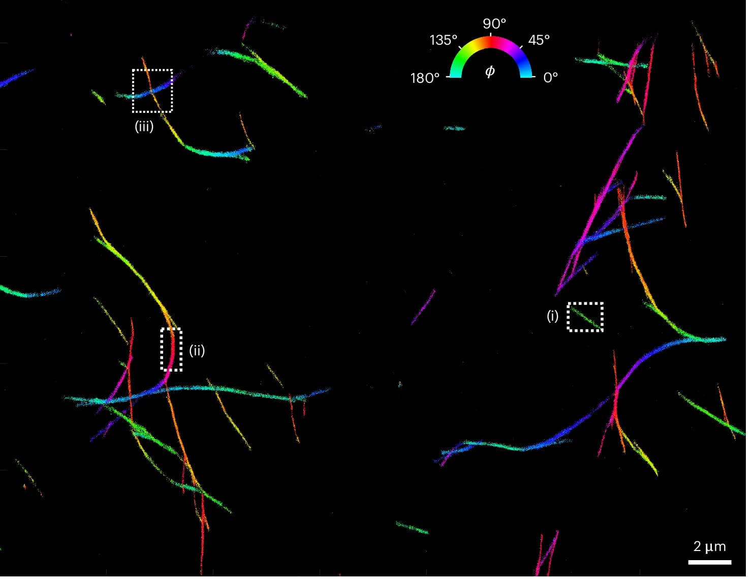 Open access visualization of Microscopy, POLCAM, SMOLM, Alpha-Synuclein Fibrils, Nile Red
