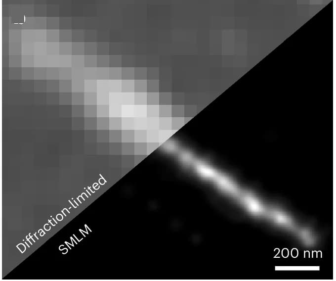 Open access visualization of Microscopy, Diffraction-Limited Image, SMLM