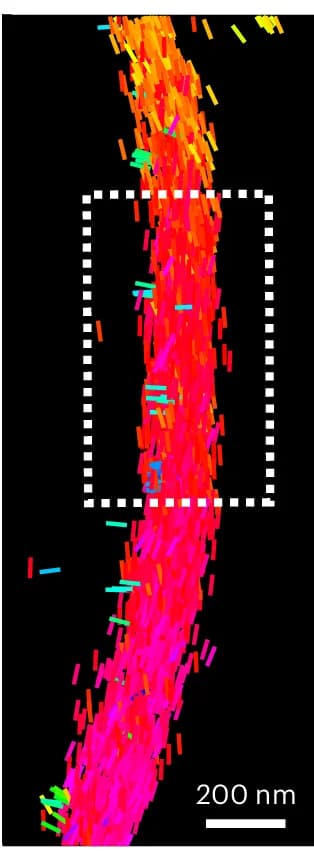 Open access visualization of 3D Plot, Inset, Localizations