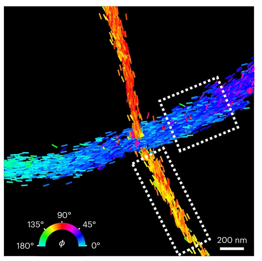 Open access visualization of Microscopy, Inset, Localizations