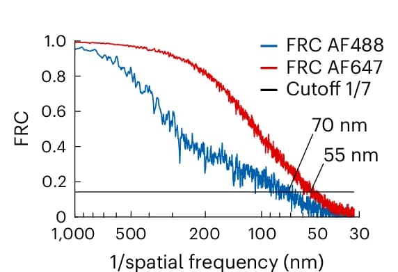 Open access visualization of Line Plot, FRC Curves, Phalloidin-AF488, Phalloidin-AF647, dSTORM Datasets