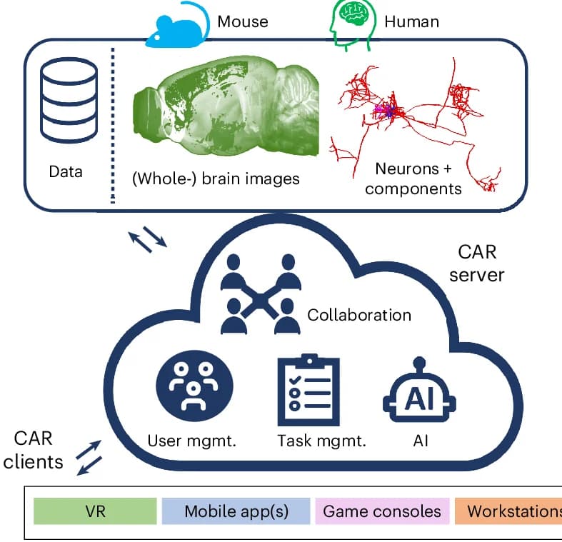 Open access visualization of Workflow, Flowchart, Illustration, CAR platform, Cloud-based architecture