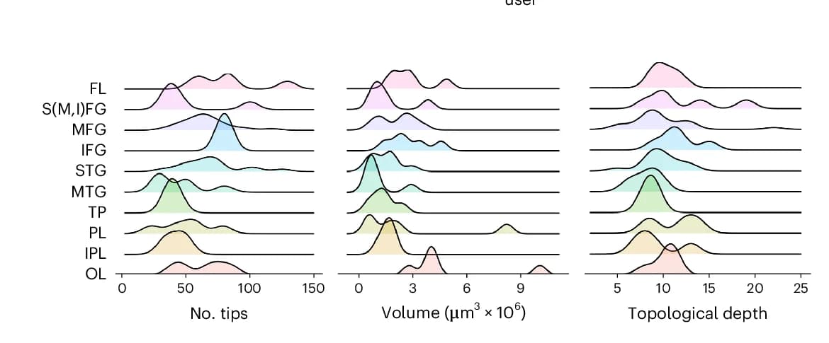 Open access visualization of Density Plot, Ridge Plot, Neurons, Tips, Volume