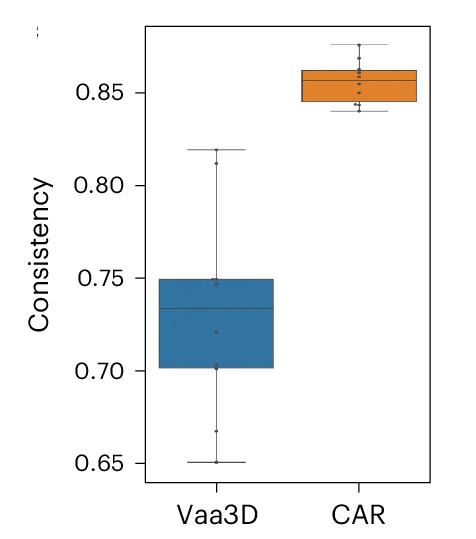 Open access visualization of Box Plot, Scatter Plot, Reconstructions, Neurons, Vaa3D