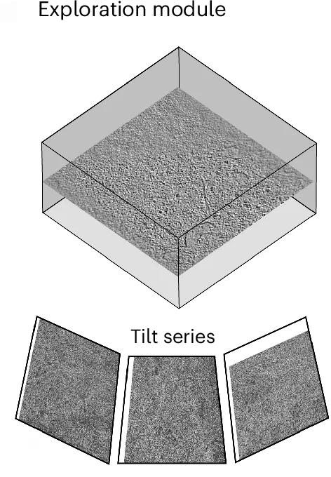 Open access visualization of Microscopy, Subtomogram, Tilt Series, Embeddings, 2D Grid Visualization