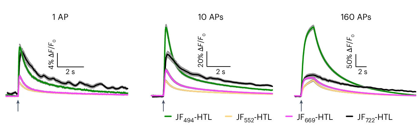 Open access visualization of Line Plot, Error Bars, WHaloCaMP1a, Hippocampal Neurons, Dye-Ligands