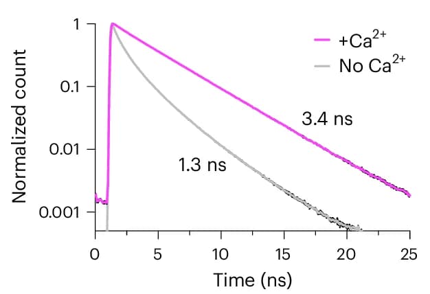 Open access visualization of Line Plot, Fluorescence Lifetime, WHaloCaMP1a 669, Calcium, Fluorescence Decay