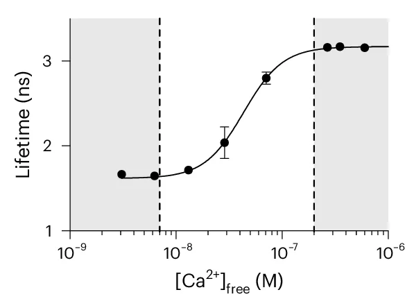 Open access visualization of Line Plot, Error Bars, Calibration Curve, Fluorescence Lifetime, WHaloCaMP1a 669