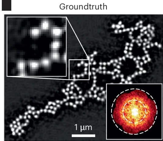 Open access visualization of Microscopy, Groundtruth, Frequency Spectra, Gamma Correction
