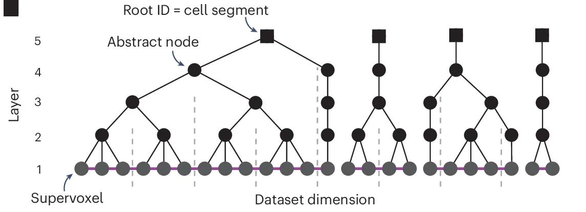 Open access visualization of Network, Pathway, Automated Segmentation, EM Data, Putative Cell