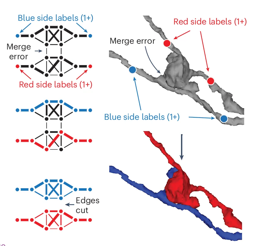 Open access visualization of Network, Split Operation, Labels, Supervoxels, Maximum-flow Minimum-cut Algorithm
