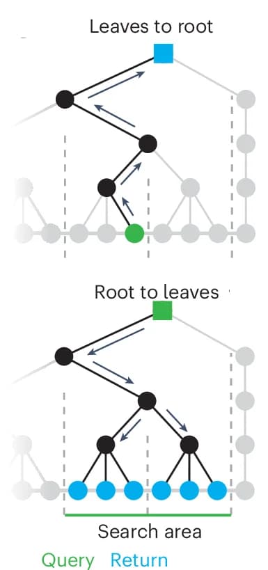 Open access visualization of Network, Pathway, Graph Traversals, Root ID, Supervoxel ID