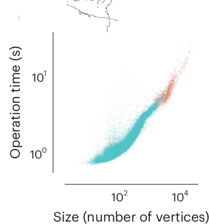 Open access visualization of Scatter Plot, Client-Side Timings, Skeletons, Neuron, Scale Bars
