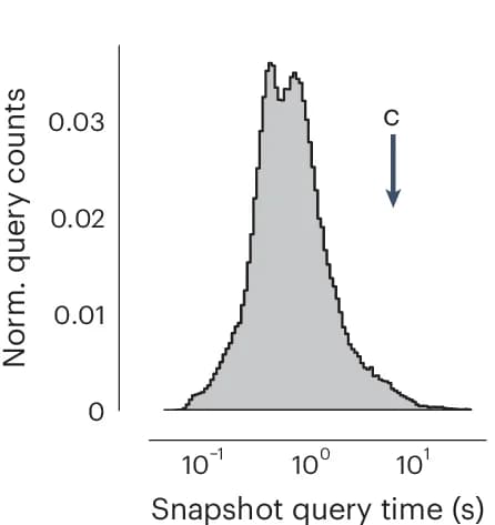 Open access visualization of Histogram, Time Measurements, Snapshots, Presynapses, Proofread Neurons
