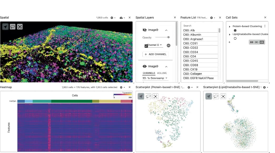Open access visualization of 3D Plot, Heatmap, Scatter Plot, Imaging Mass Spectrometry, Protein