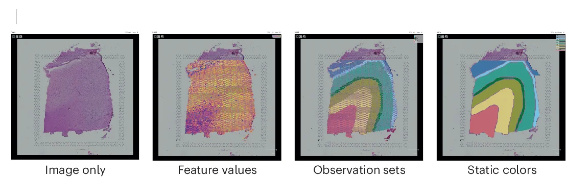 Open access visualization of Microscopy, Heatmap, Visualization Layers, Spatial View, Points