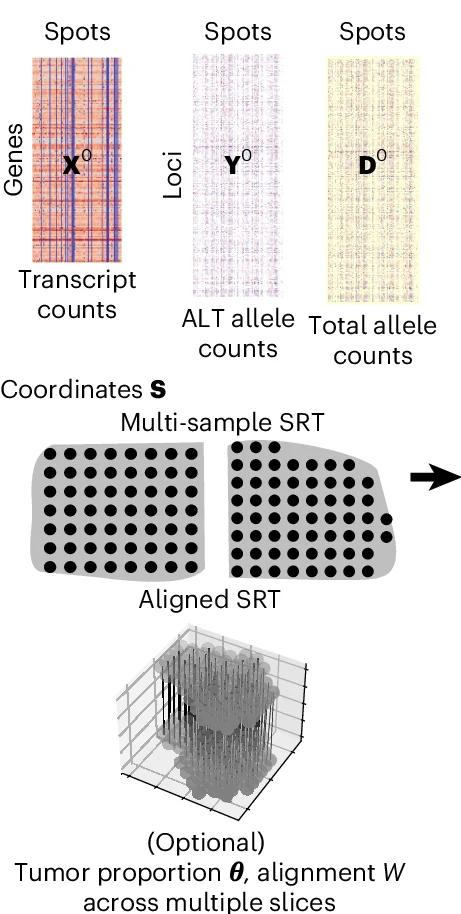 Open access visualization of Heatmap, 3D Plot, Scatter Plot, Transcript Counts, Allele Counts