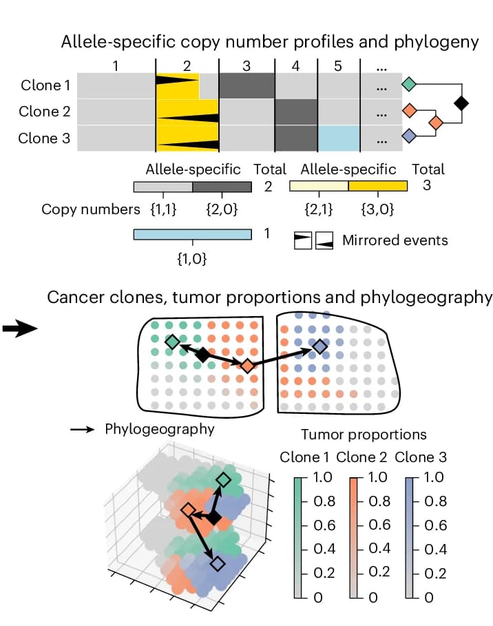 Open access visualization of Heatmap, Phylogenetic Tree, Geo Map, 3D Plot, Workflow