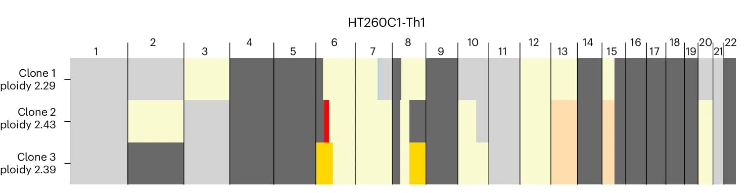 Open access visualization of Bar Plot, Stacked Bar Plot, Allele-Specific Integer Copy Numbers, CalicoST, SRT Data