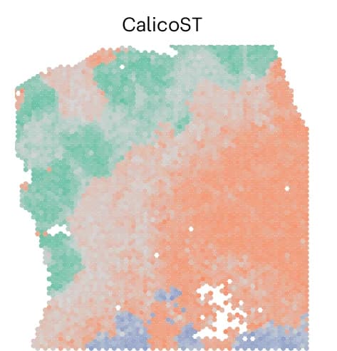 Open access visualization of Geo Map, Cancer Clones, CalicoST, Spatial Coordinates, Normal Cells
