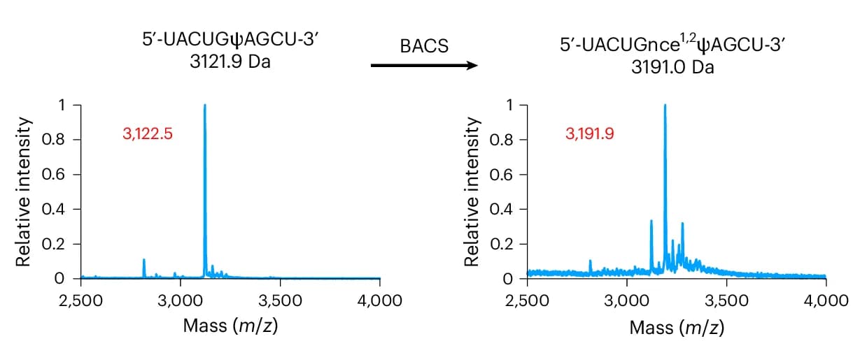 Open access visualization of Line Plot, MALDI, BACS Labeling, RNA Oligonucleotide