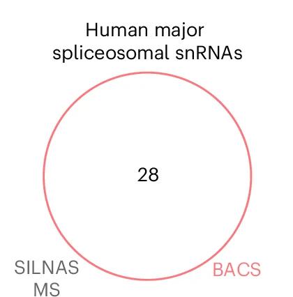 Open access visualization of Venn Diagram, Pseudouridine Sites, Human Spliceosomal snRNAs, BACS, SILNAS MS