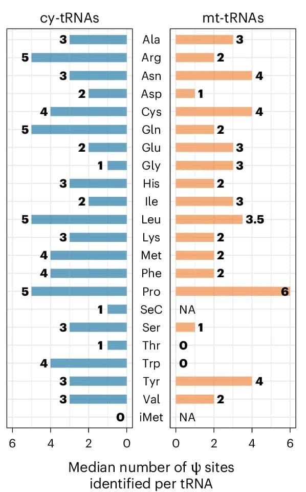 Open access visualization of Bar Plot, Ψ sites, tRNA, cy-tRNA, mt-tRNA