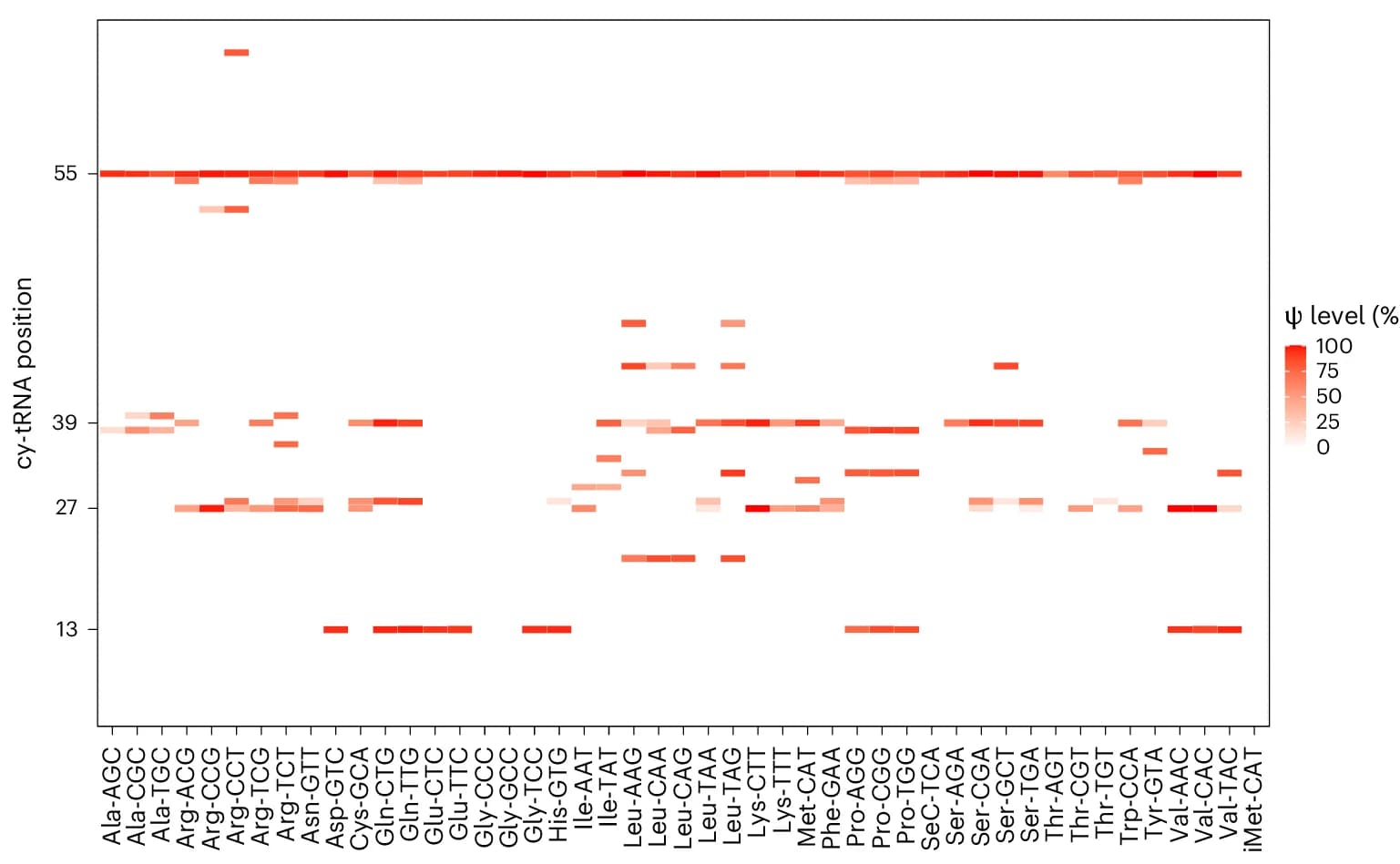 Open access visualization of Heatmap, Heat Map, Ψ Sites, HeLa cy-tRNAs, tRNA Isodecoder