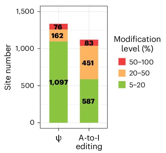 Open access visualization of Stacked Bar Plot, Ψ Sites, A-to-I Editing Sites, HeLa Cells, Poly-A-Tailed RNA