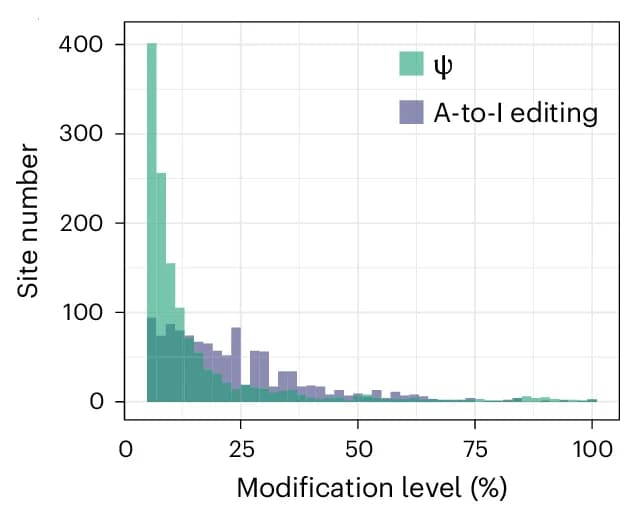 Open access visualization of Histogram, Ψ Sites, A-to-I Editing Sites, HeLa Cells, Poly-A-Tailed RNA