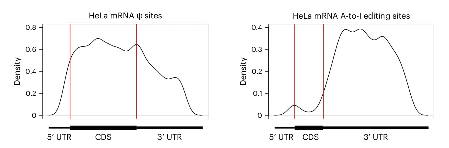 Open access visualization of Density Plot, Ψ Sites, A-to-I Editing Sites, HeLa Cells, mRNA
